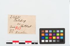 Etikett zu Perlenkette (NHMW-PRAE-024931)